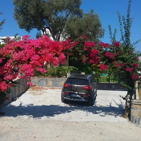 Vila Sea View Flower *