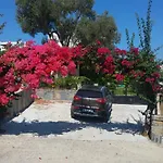 Vilă Sea View Flower *