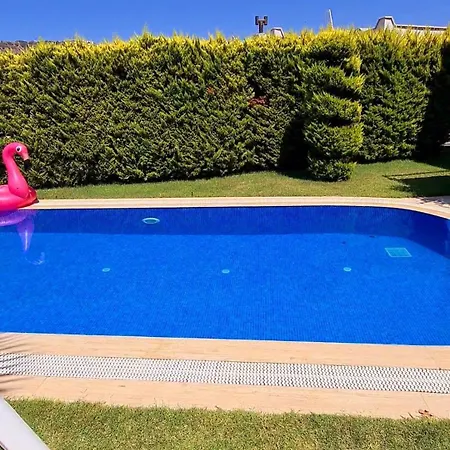 Вилла Sea View Flower *