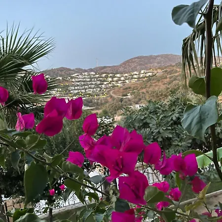 Вилла Sea View Flower *