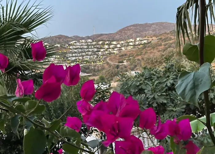 Villa Sea View Flower *